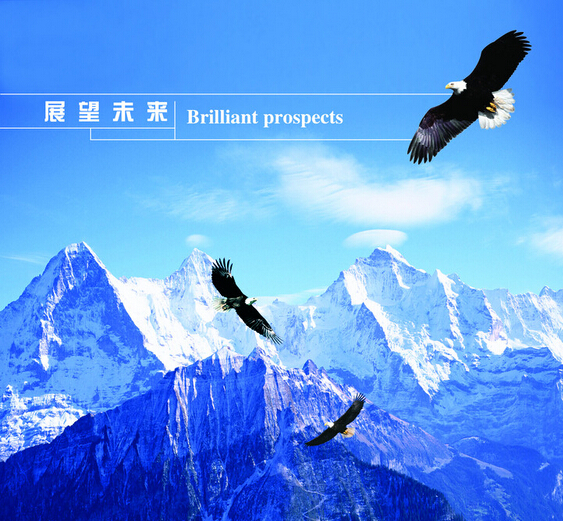 河北萬環環?？萍加邢薰?></a>
            </dt>
            <dd>
                <h4><a href=